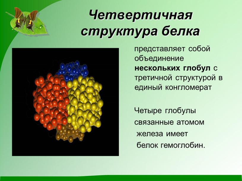 Четвертичная структура белка представляет собой объединение нескольких глобул с третичной структурой в единый конгломерат