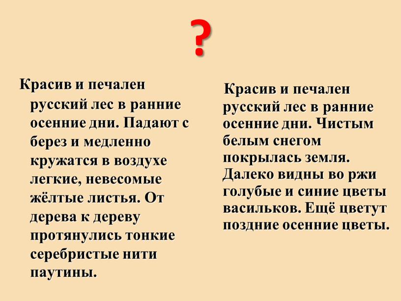 Красив и печален русский лес в ранние осенние дни