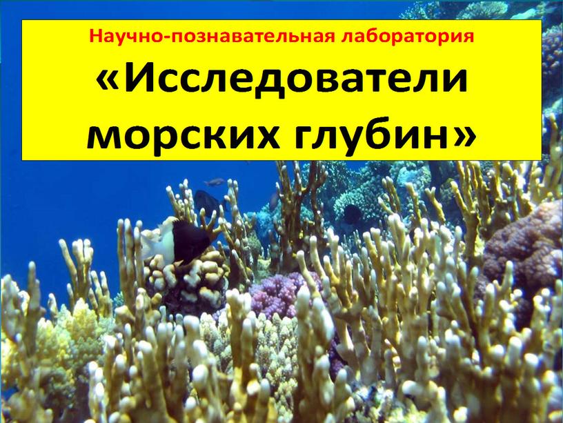 Презентация к уроку (тема: "Обыкновенные дроби") "Юные исследователи".