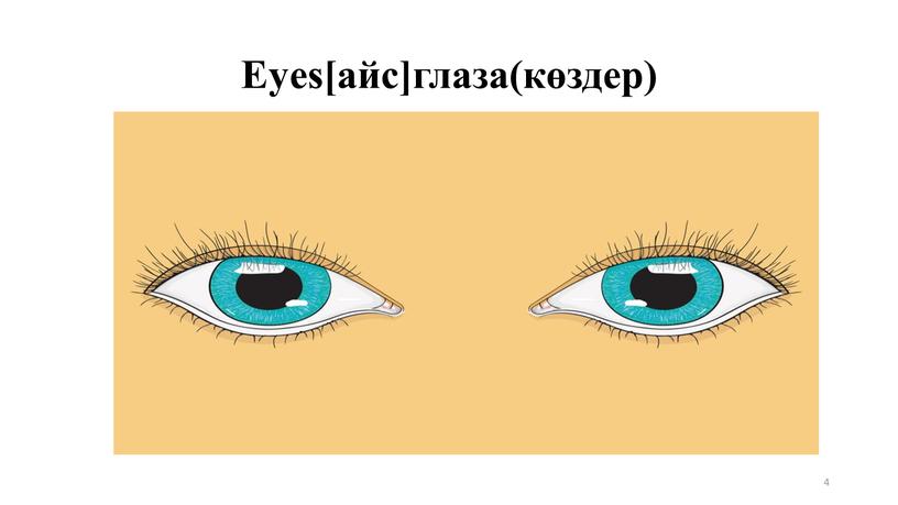 Eyes[айс]глаза(көздер) 4