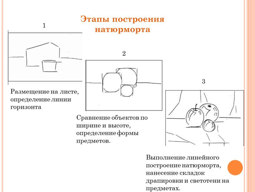 Этапы построения натюрморта Размещение на листе, определение линии горизонта