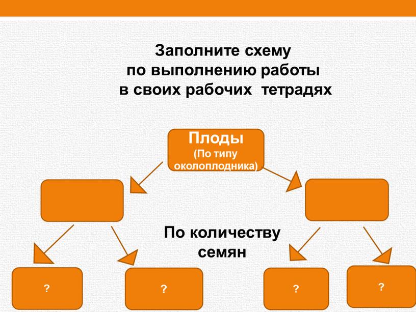 Плоды (По типу околоплодника) ? ?