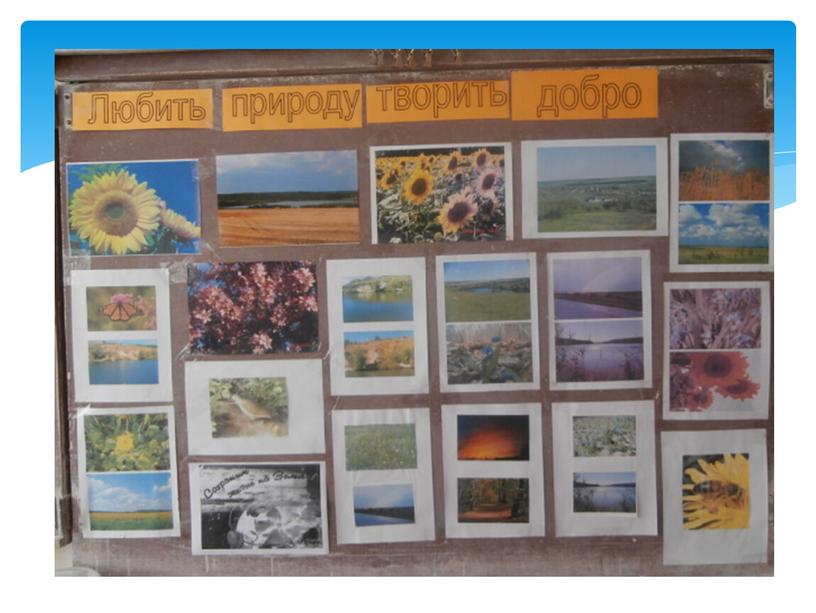 Фотоотчет о проведенных мероприятиях в области экологического образования в МКОУ Зайцевская СОШ