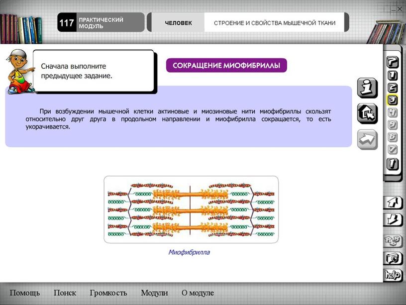 Методы развития познавательной деятельности учащихся