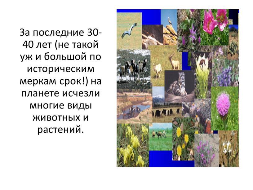 За последние 30-40 лет (не такой уж и большой по историческим меркам срок!) на планете исчезли многие виды животных и растений