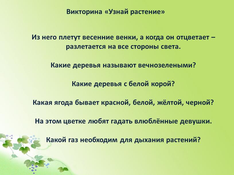 Викторина «Узнай растение» Из него плетут весенние венки, а когда он отцветает – разлетается на все стороны света