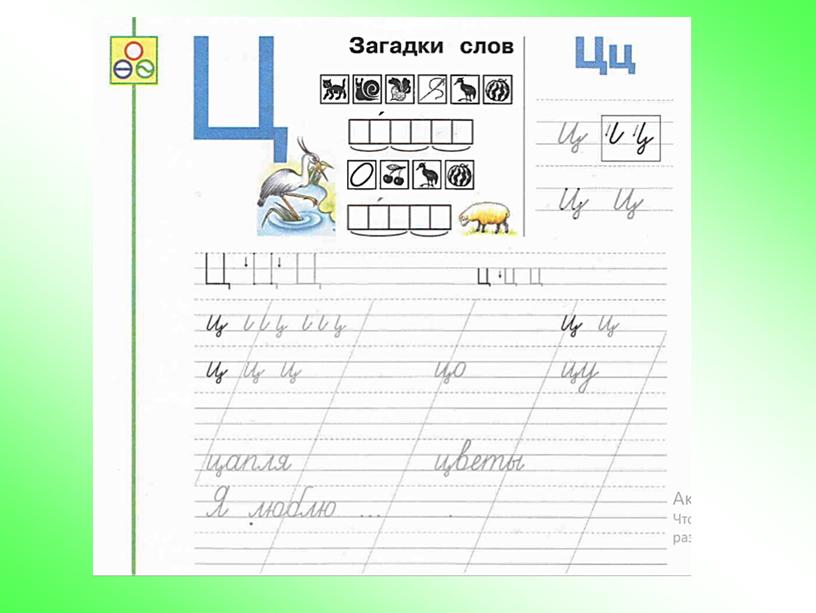 Презентация к уроку обучения грамоте "Звук [ц]. Буквы Ц,ц" , УМК "Перспектива"