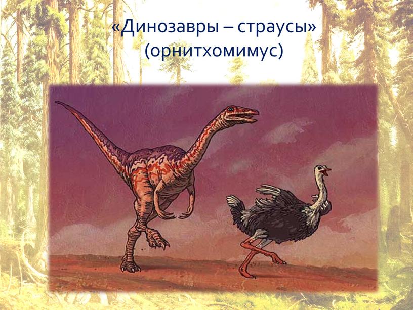 Динозавры – страусы» (орнитхомимус)