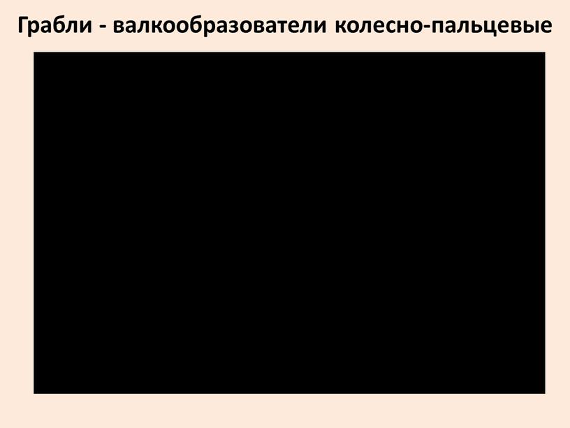 Грабли - валкообразователи колесно-пальцевые