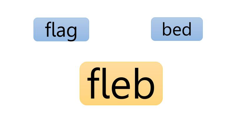 bed flag fleb