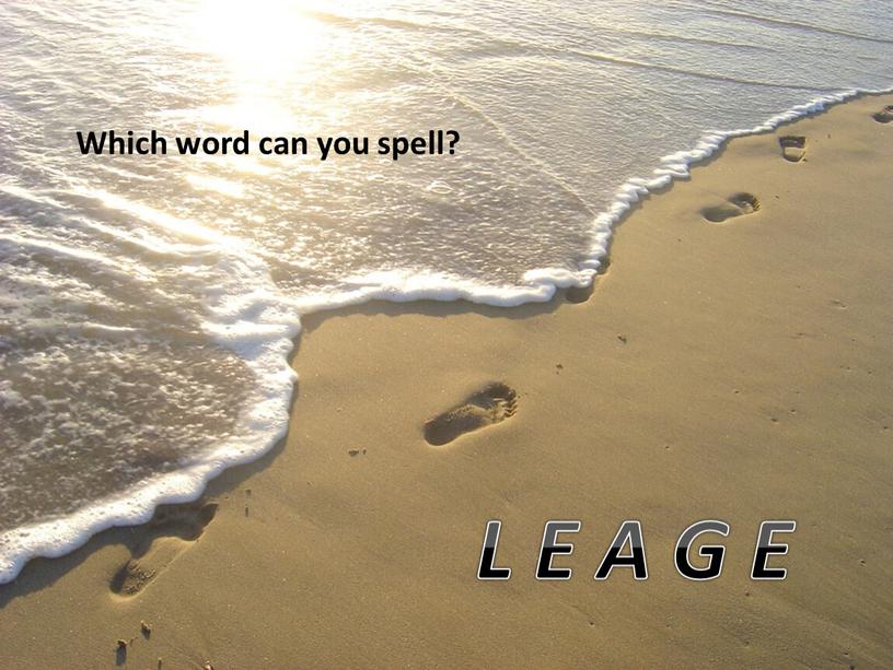 Which word can you spell? L E A