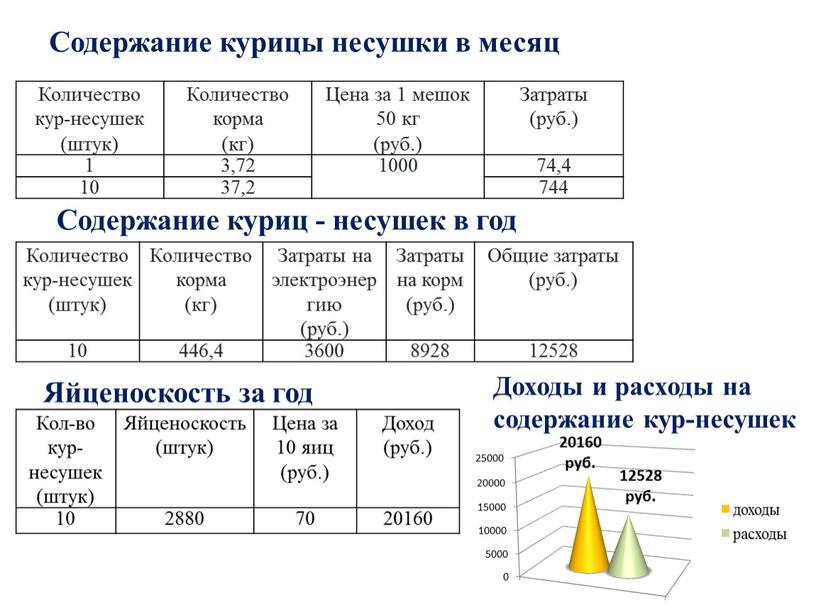 Содержание курицы несушки в месяц