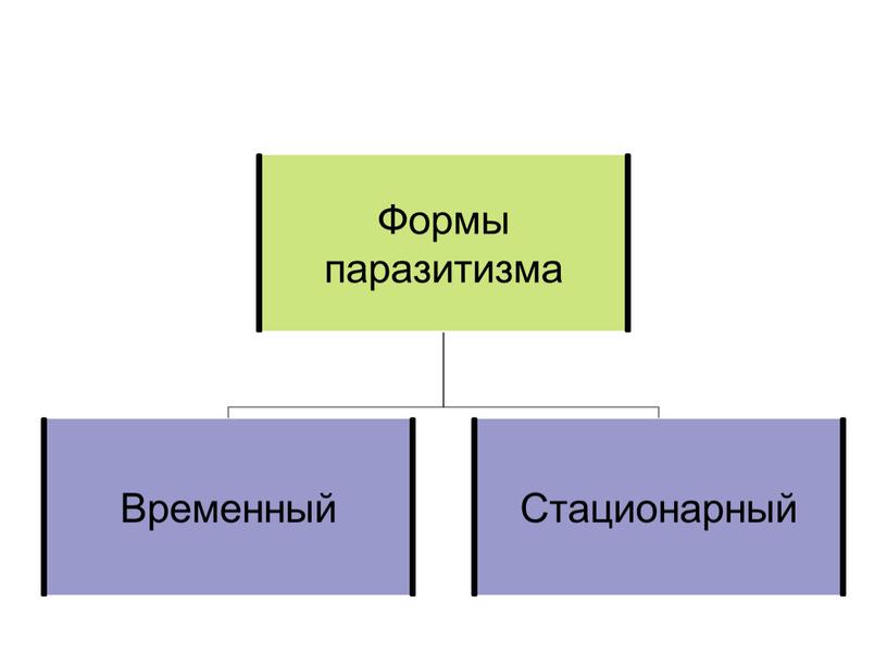 Взаимодействие популяций разных видов