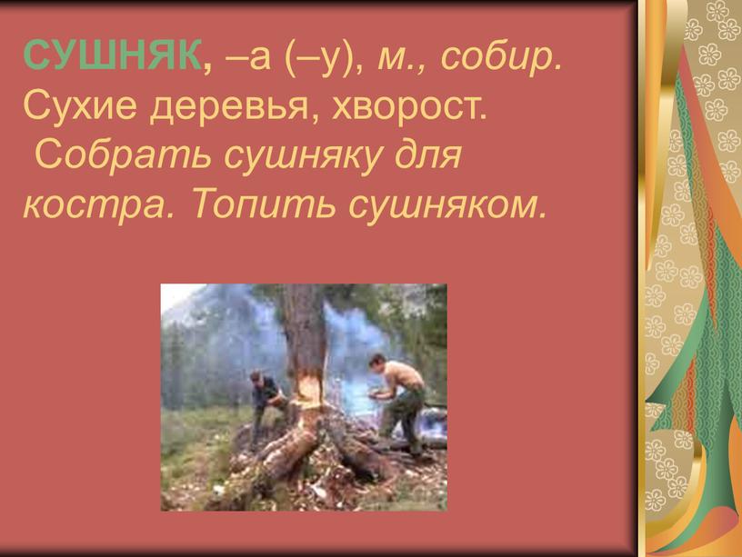 СУШНЯК, –а (–у), м., собир.