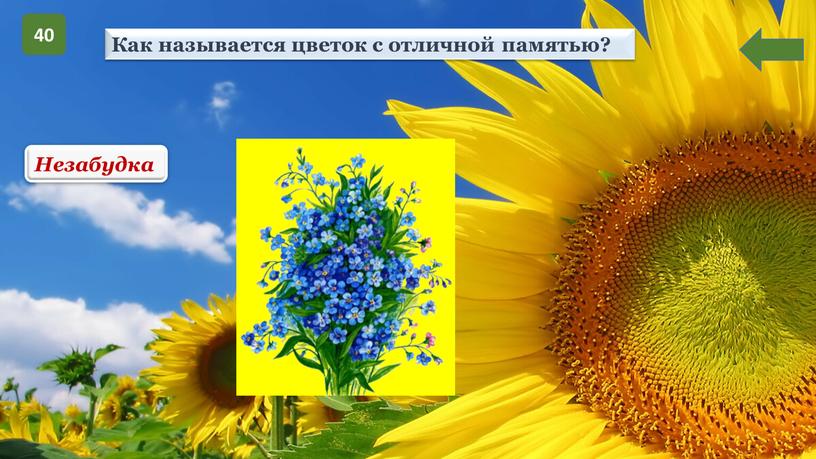 Незабудка Как называется цветок с отличной памятью?