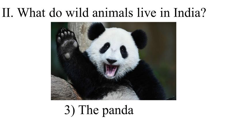 II. What do wild animals live in