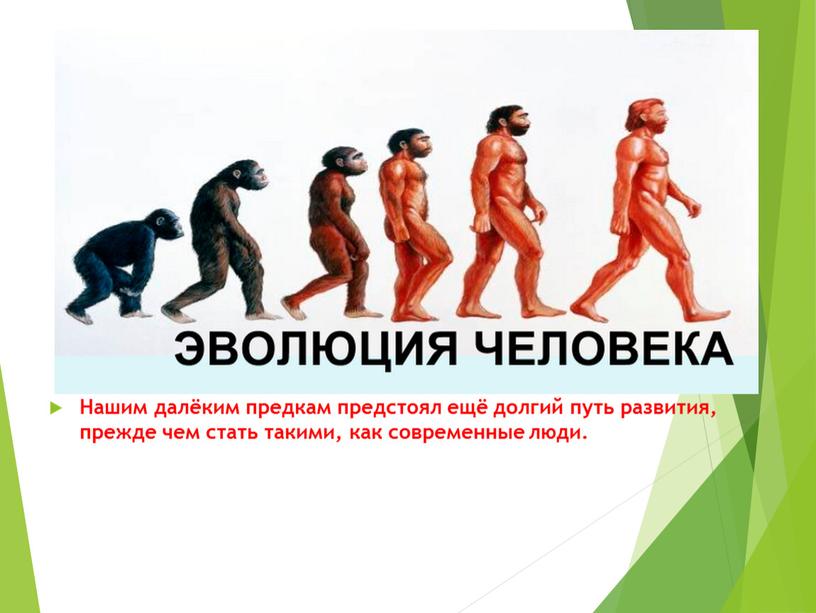 Нашим далёким предкам предстоял ещё долгий путь развития, прежде чем стать такими, как современные люди