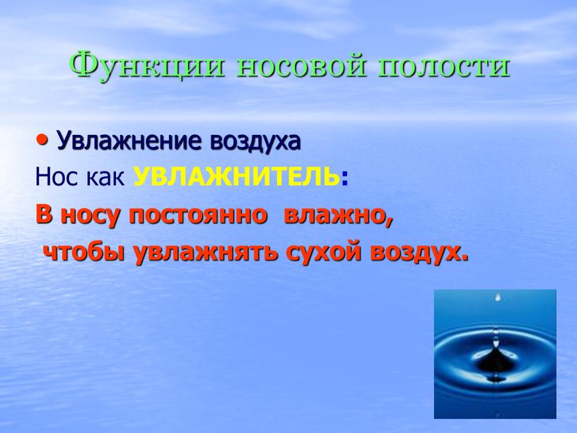 Функции носовой полости Увлажнение воздуха