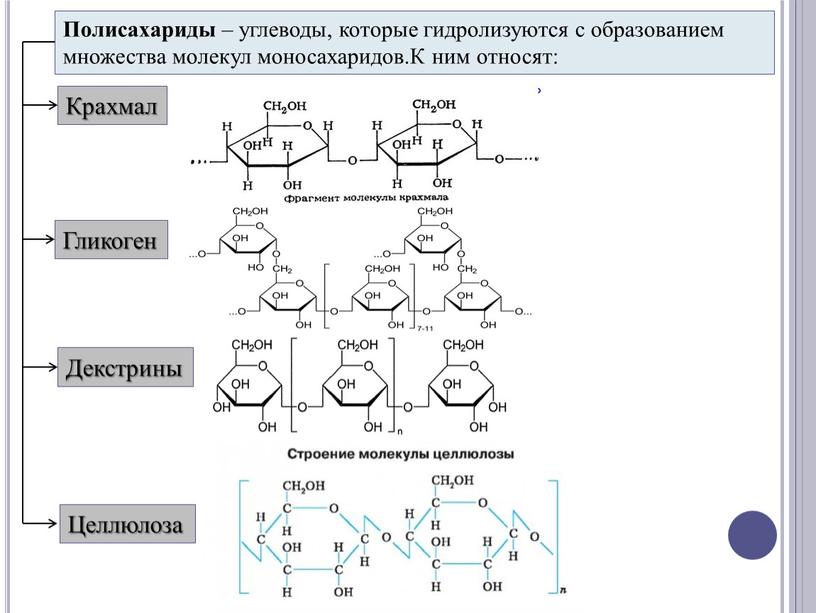 Полисахариды – углеводы, которые гидролизуются с образованием множества молекул моносахаридов