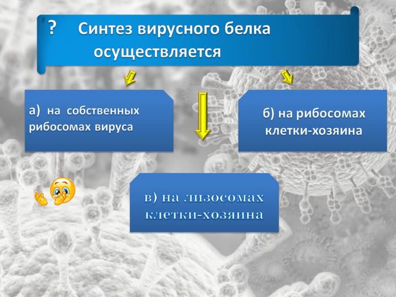 Синтез вирусного белка осуществляется а) на собственных рибосомах вируса б) на рибосомах клетки-хозяина