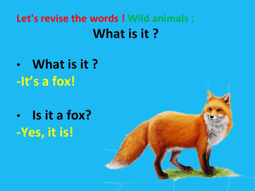 Let's revise the words ! Wild animals :