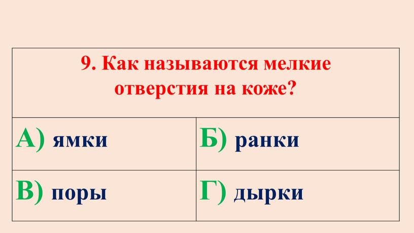 Как называются мелкие отверстия на коже?