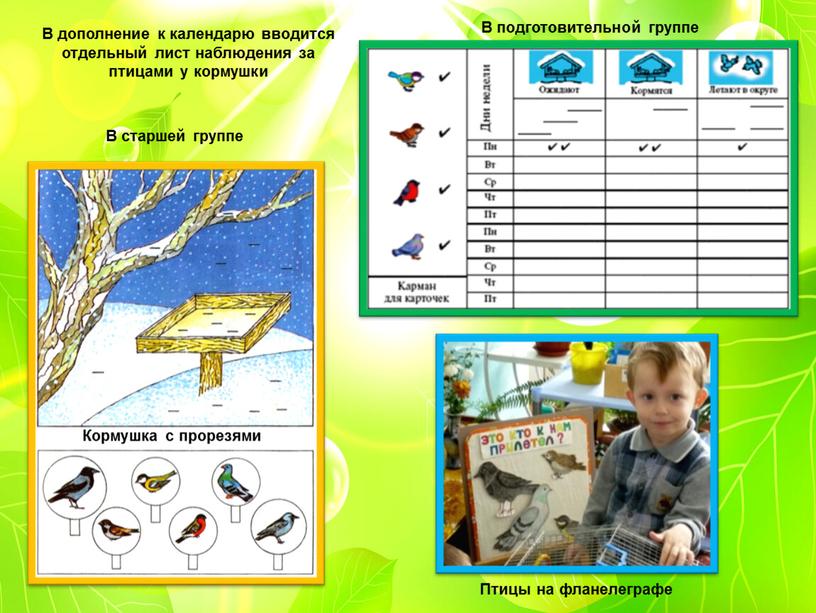 Календарь природы по Николаевой