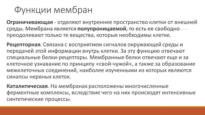 Функции мембран Ограничивающая - отделяют внутреннее пространство клетки от внешней среды