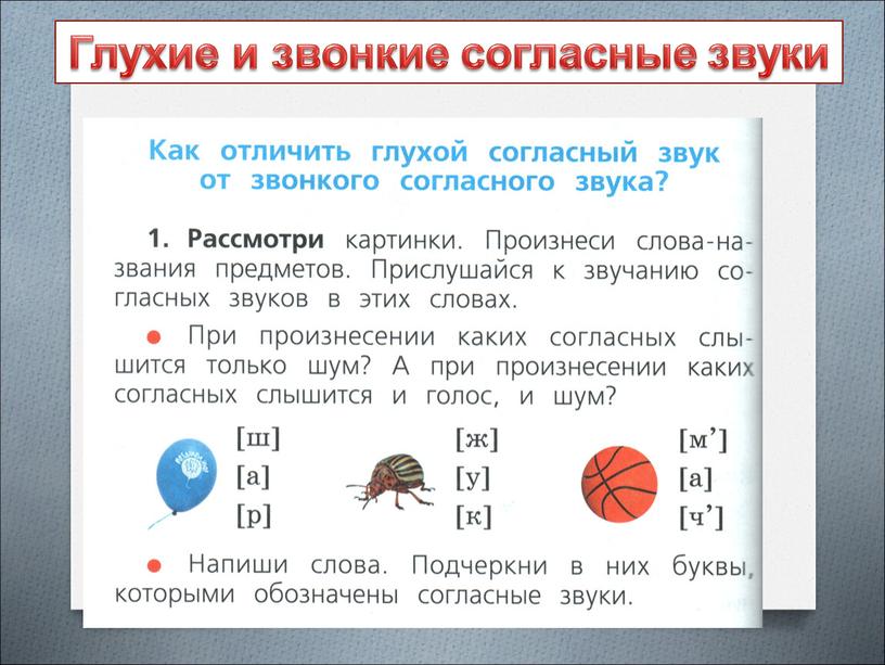 Глухие и звонкие согласные звуки