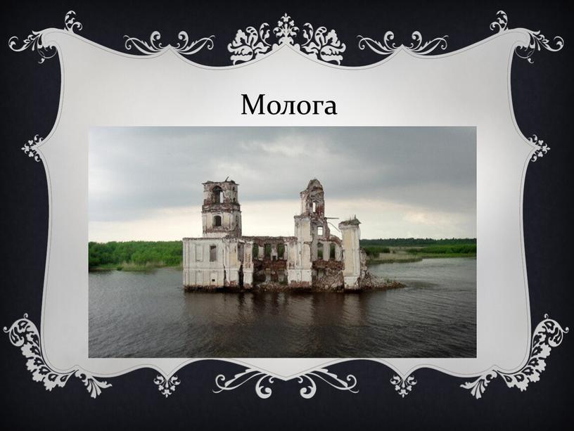 Молога