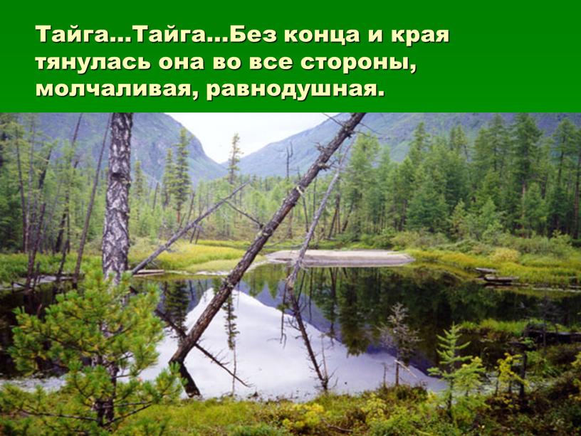 Тайга…Тайга…Без конца и края тянулась она во все стороны, молчаливая, равнодушная