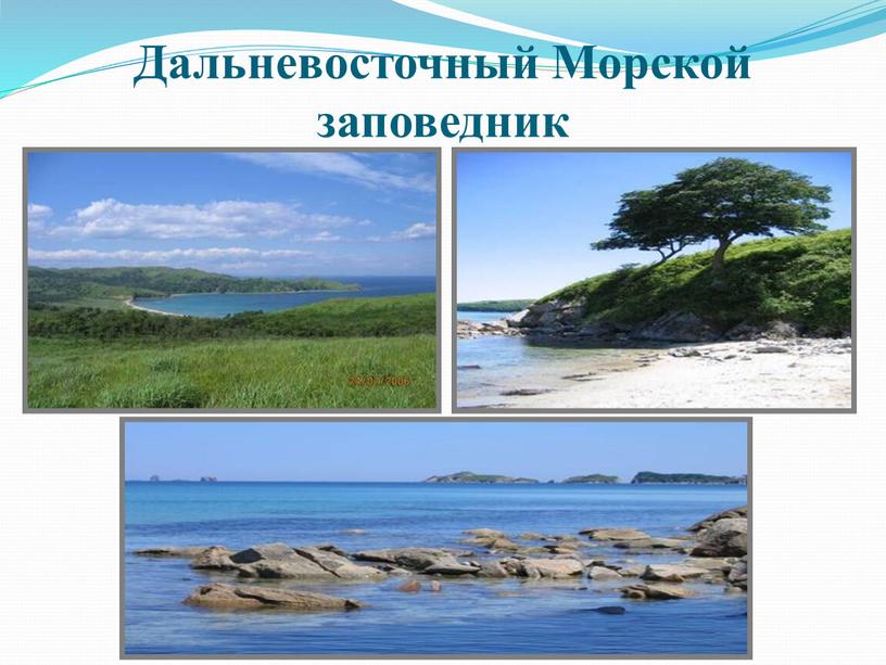 Дальневосточный Морской заповедник