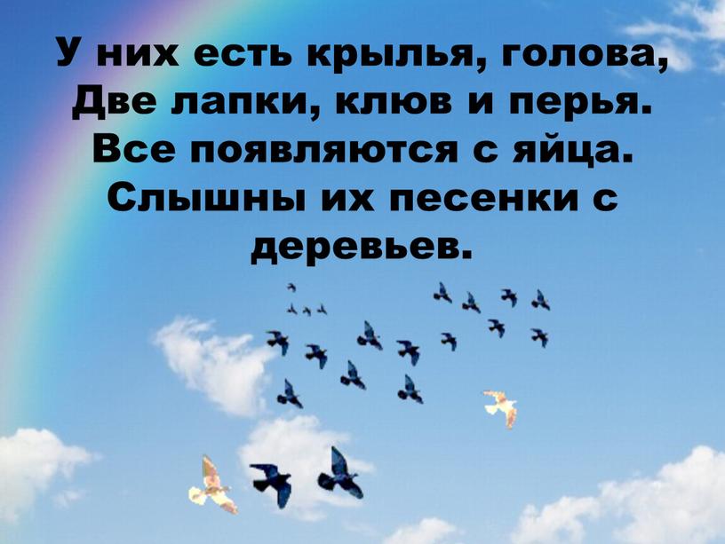 У них есть крылья, голова, Две лапки, клюв и перья