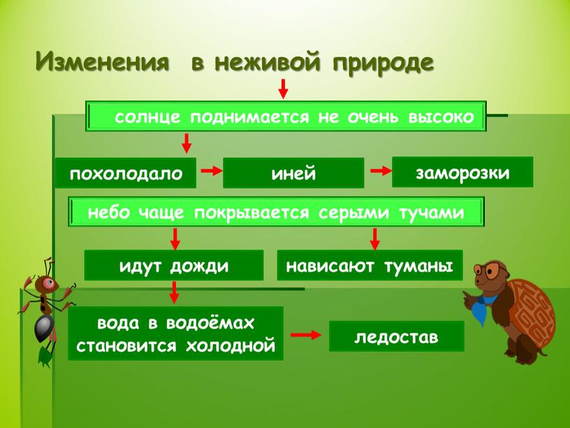 Изменения в неживой природе солнце поднимается не очень высоко похолодало идут дожди вода в водоёмах становится холодной нависают туманы ледостав небо чаще покрывается серыми тучами…