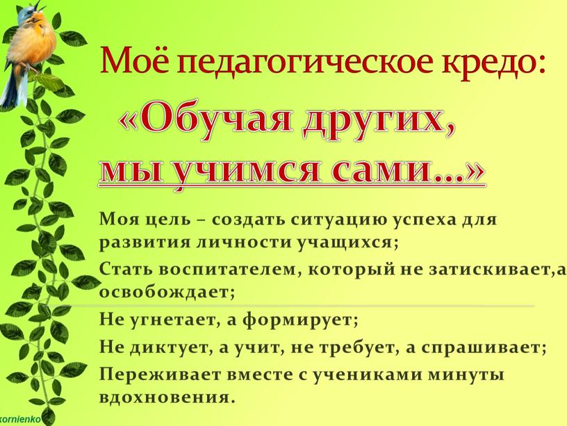 Моё педагогическое кредо: Моя цель – создать ситуацию успеха для развития личности учащихся;