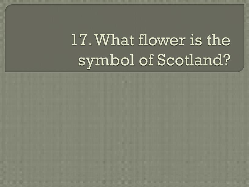 What flower is the symbol of Scotland?