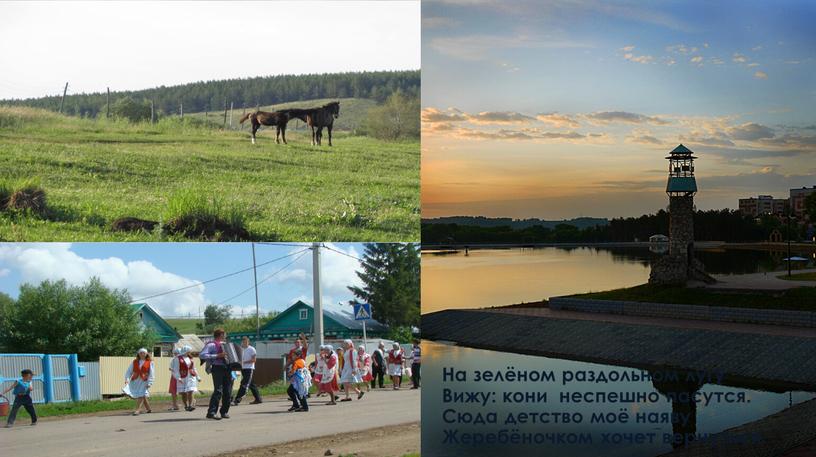 На зелёном раздольном лугу Вижу: кони неспешно пасутся