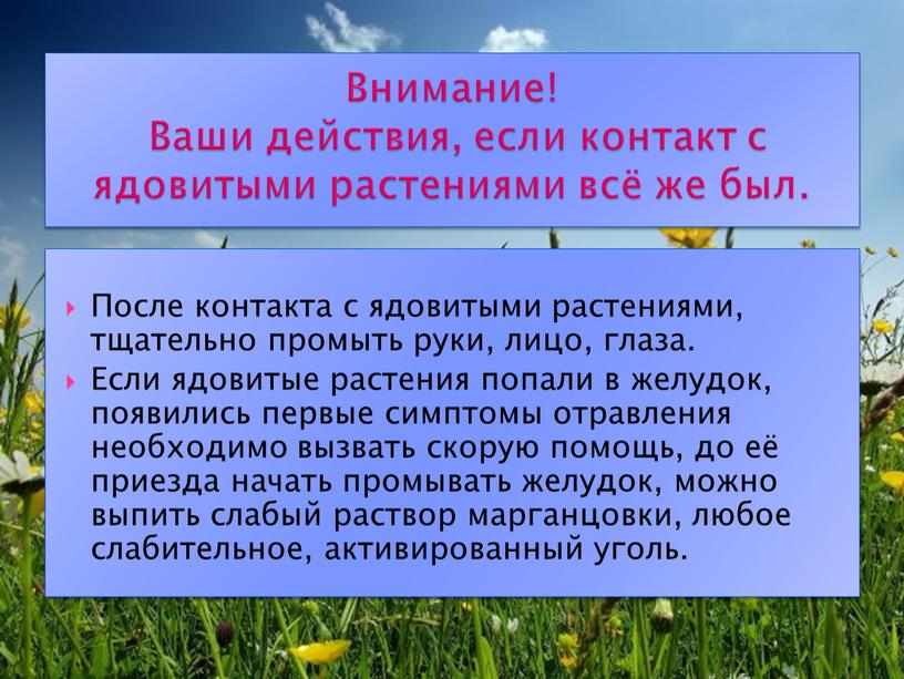 После контакта с ядовитыми растениями, тщательно промыть руки, лицо, глаза