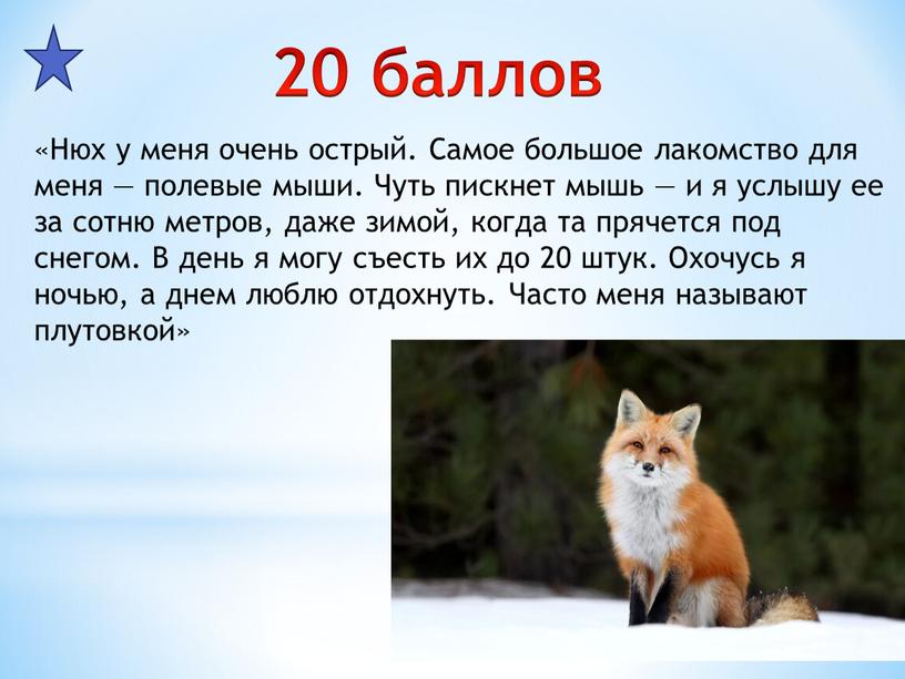 Нюх у меня очень острый. Самое большое лакомство для меня — полевые мыши