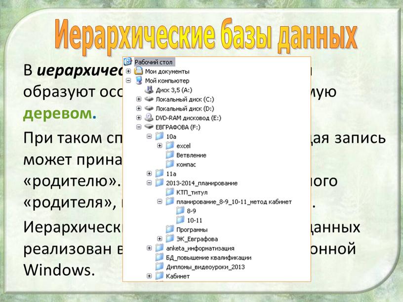 В иерархической базе данных записи образуют особую структуру, называемую деревом