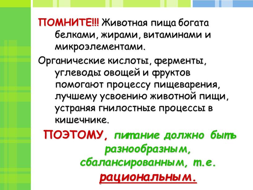 ПОМНИТЕ!!! Животная пища богата белками, жирами, витаминами и микроэлементами