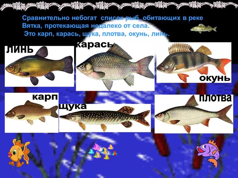 Сравнительно небогат список рыб, обитающих в реке