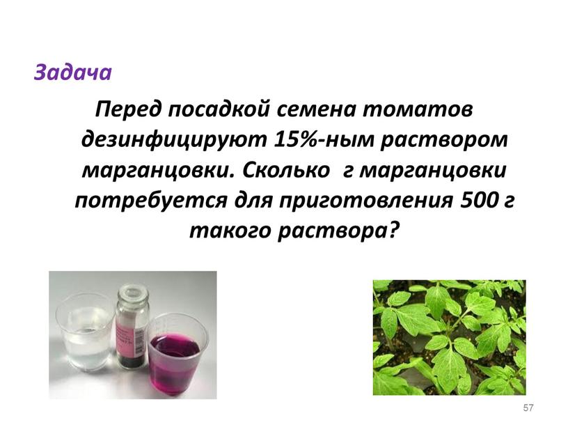 Задача Перед посадкой семена томатов дезинфицируют 15%-ным раствором марганцовки