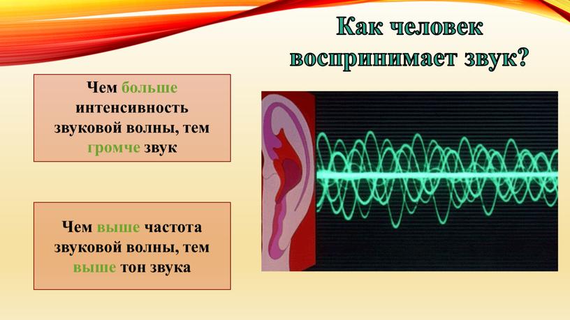 Как человек воспринимает звук?