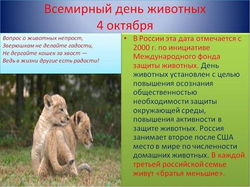 Презентация "Всемирный день защиты животных"