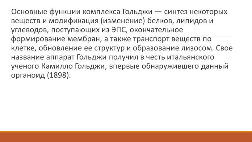 Основные функции комплекса Гольджи — синтез некоторых веществ и модификация (изменение) белков, липидов и углеводов, поступающих из