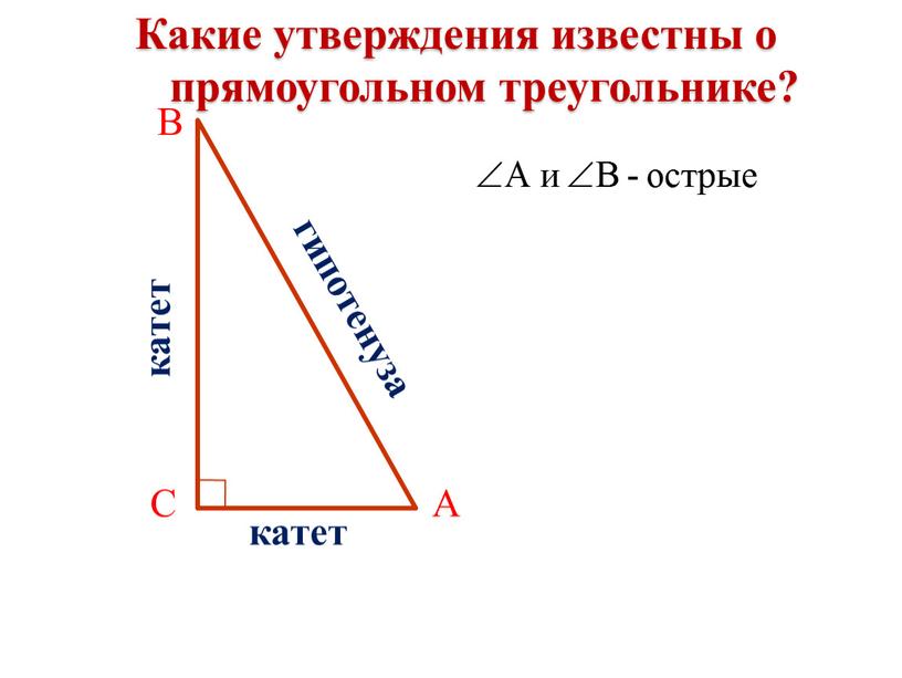 Какие утверждения известны о прямоугольном треугольнике?