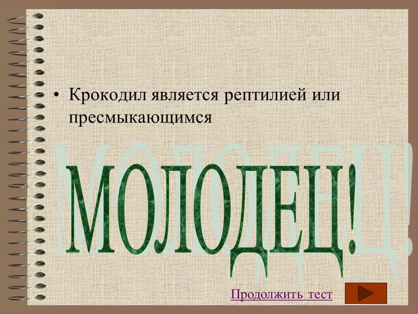 Крокодил является рептилией или пресмыкающимся