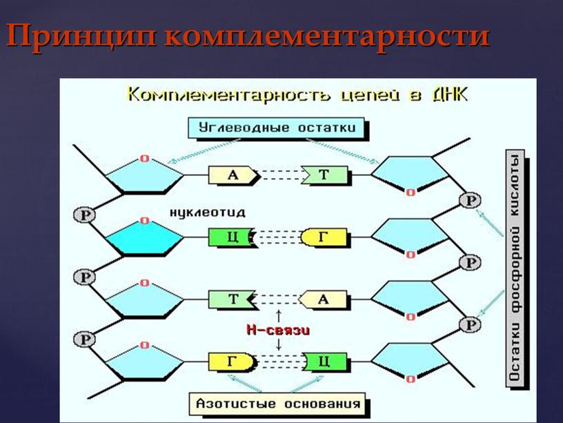 Принцип комплементарности