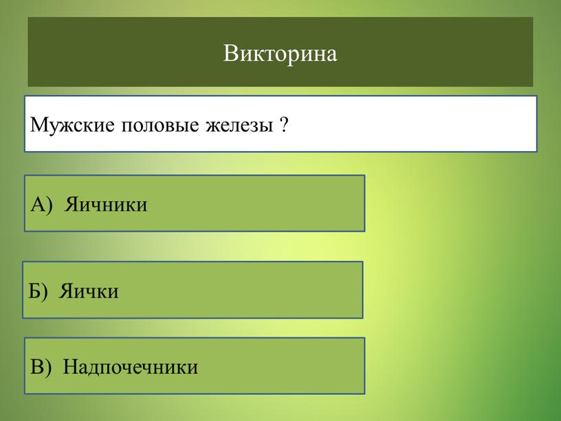 Викторина В) Надпочечники Б)